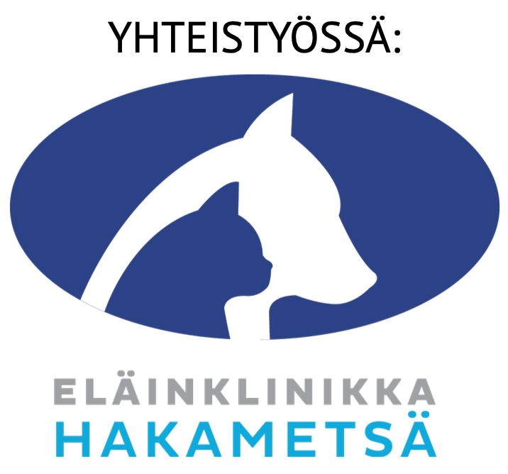 kävelytesti